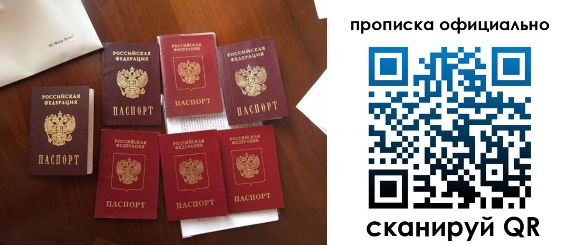 прописка законно в Фролово
